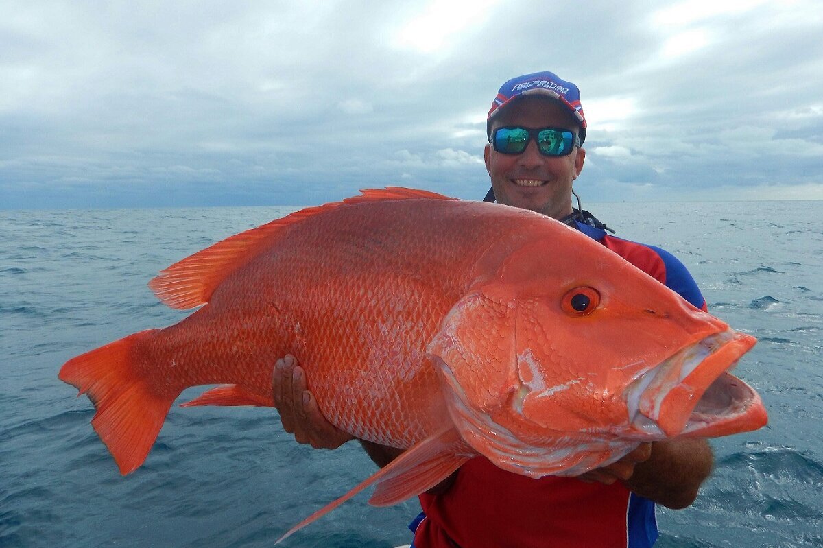 male angler with cap and sunglasses holding a great barrier reef fish
