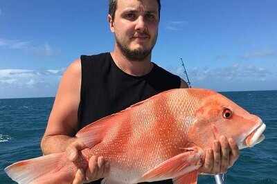 Man wearing black shirt holding a nannygai fish