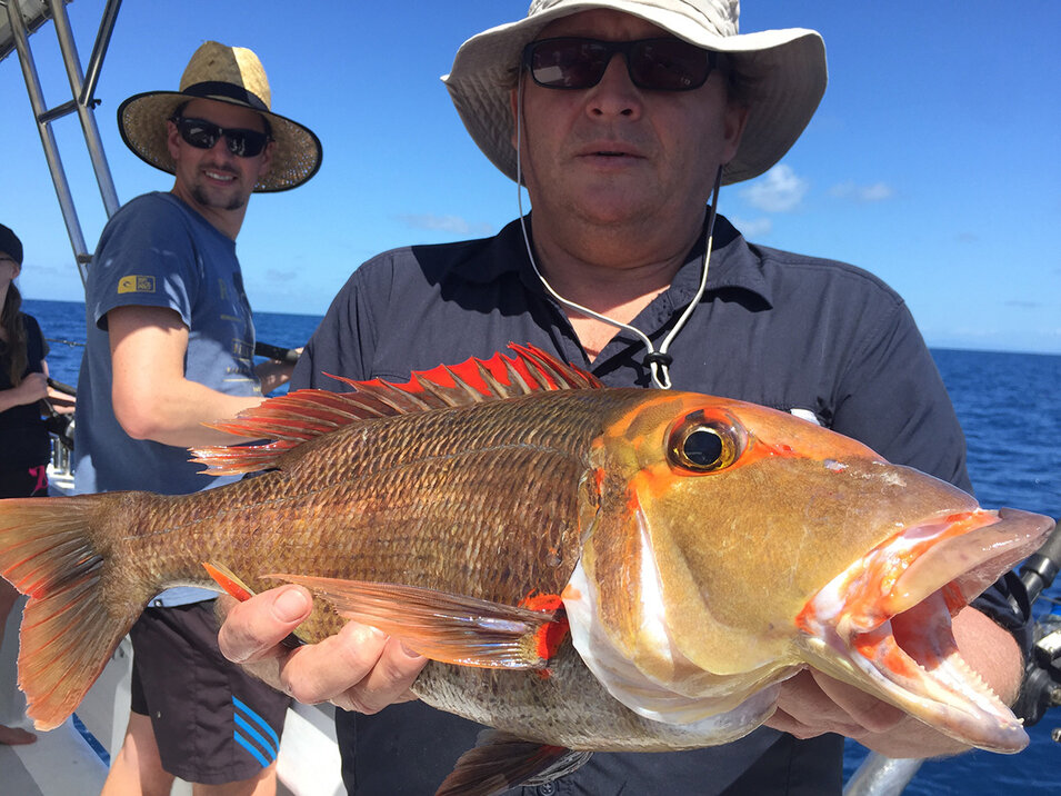 Male angler holding a great barrier reef fish