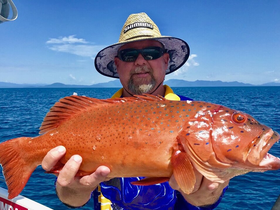 male angler presenting his coral trout catch