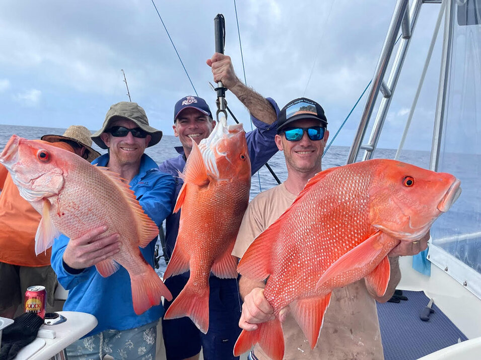 Some freshly caught fish