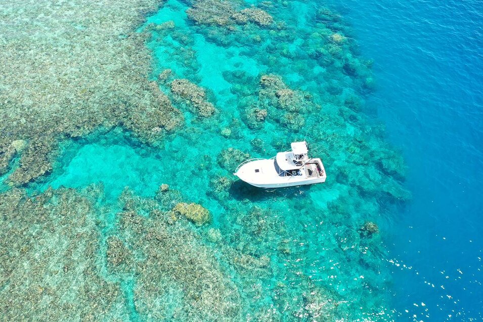 Saltaire boat on the Great Barrier Reef aerial photo
