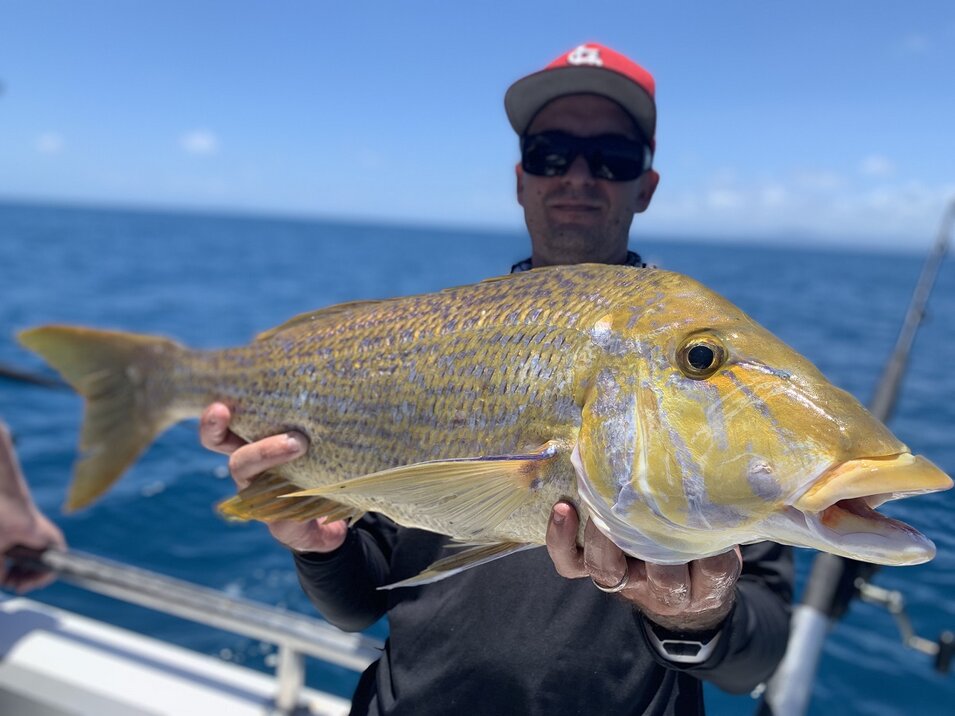 Male angler wearing red and white cap holding a great barrier reef fish