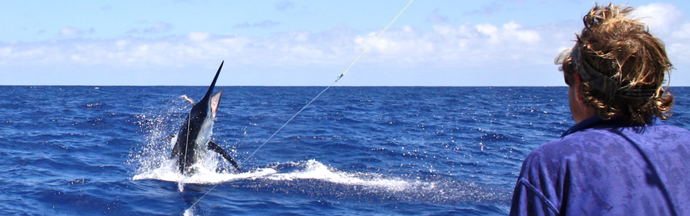 male angler and jumping marlin fish