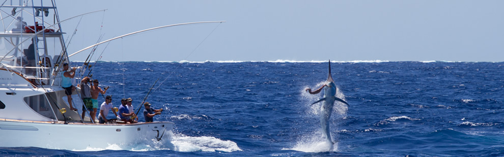 Amokura game fishing boat in action with a marlin leaping into the air