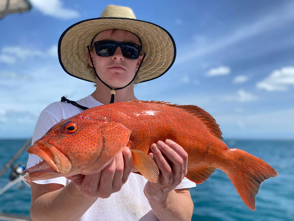 Coral Trout caught off Port Douglas