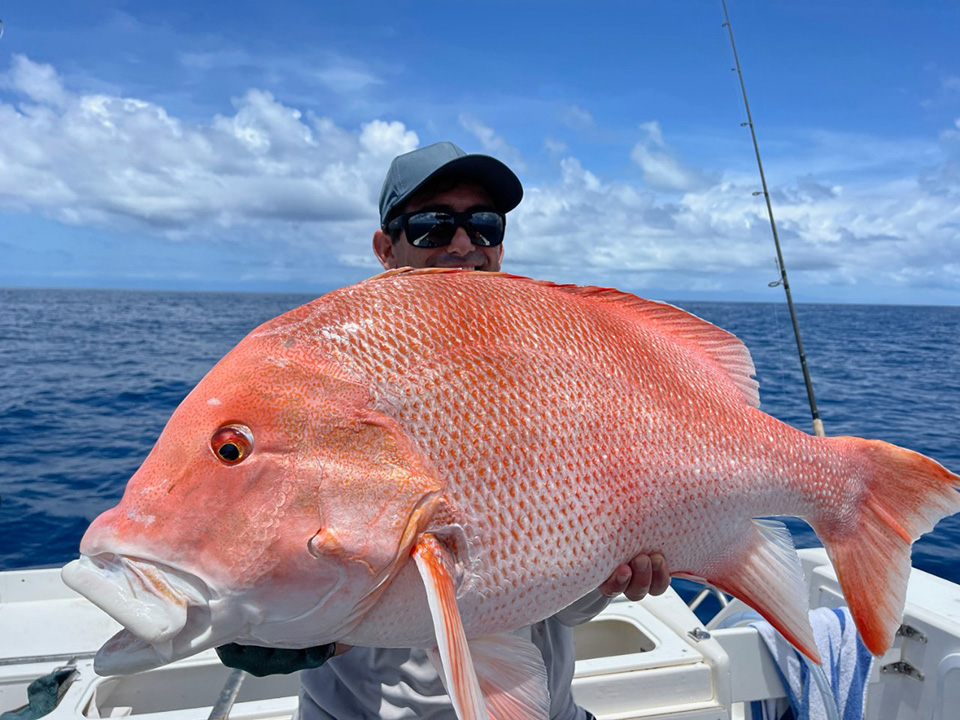 Red Emperor fish caught off Port Douglas