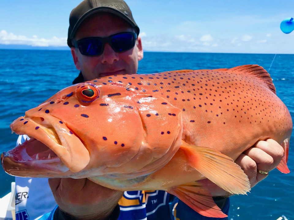 Coral Trout