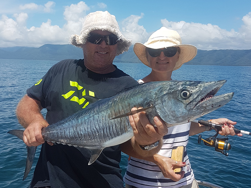 Spanish mackerel