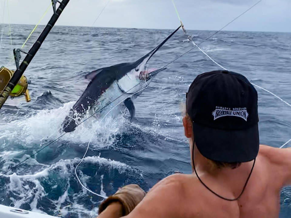 October 2025 Line Burner Out Now