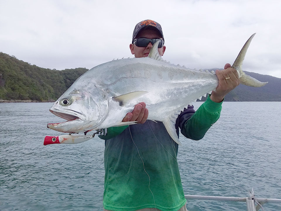 Queenfish caught near the Daintree River