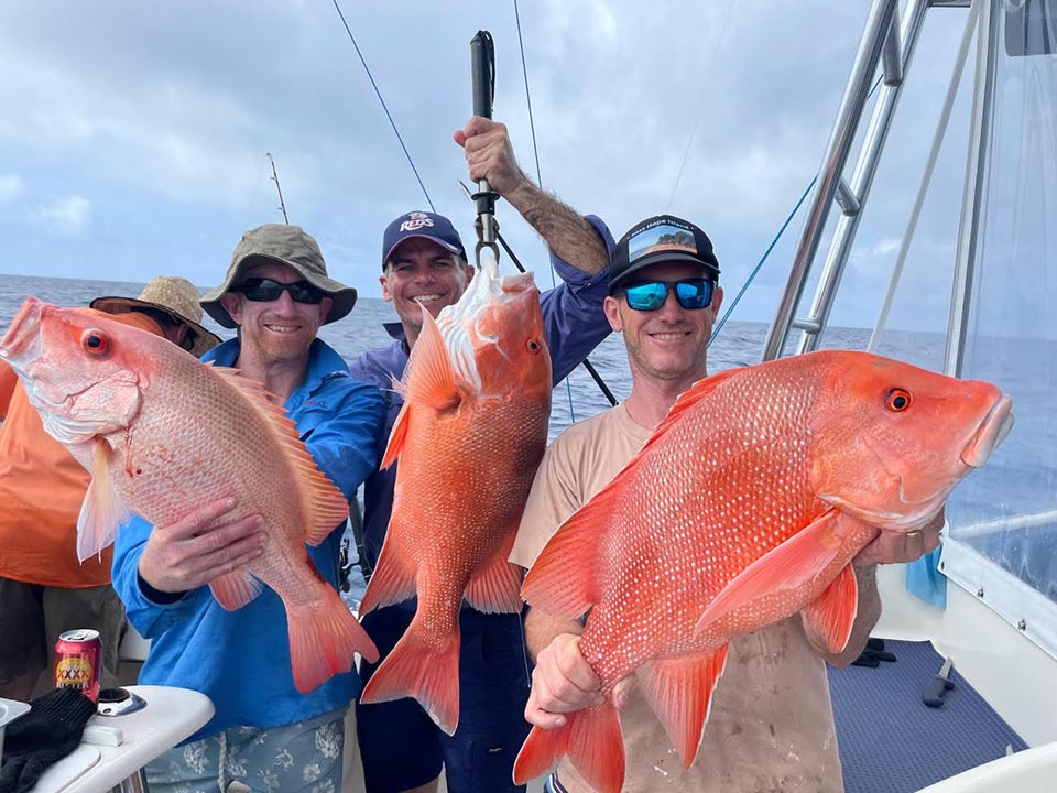 Some beautiful red fish caught off Port Douglas with Saltaire charters
