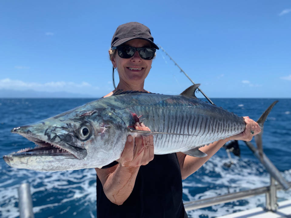Spanish mackerel