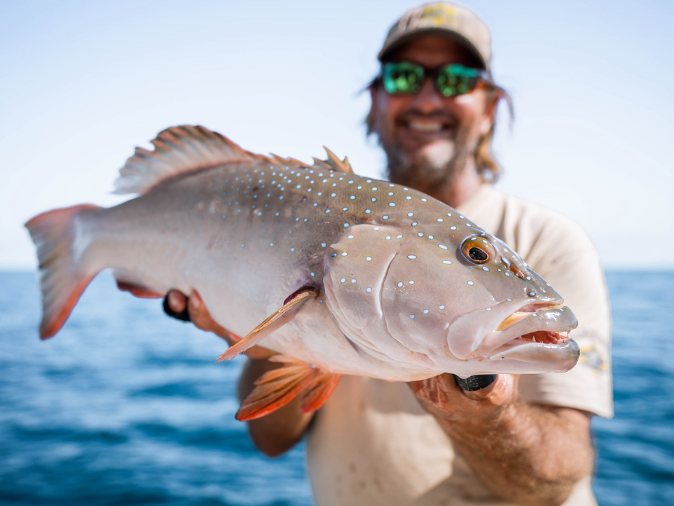 Coral Trout