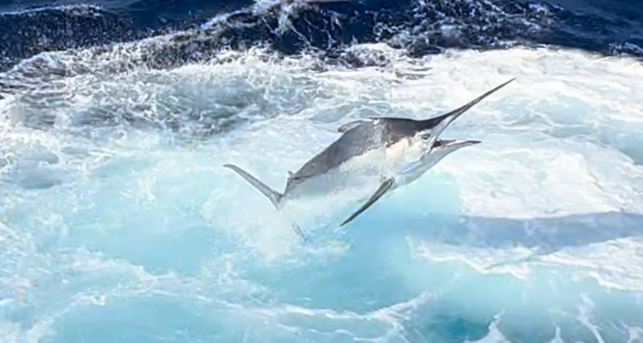 A marlin leaping out of the ocean, its long bill visible as it cuts through the water, surrounded by frothy blue waves.