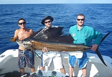 Large sailfish held up by three happy fisherman before its release